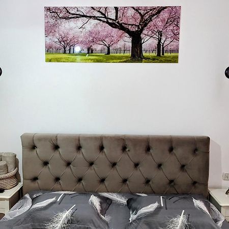 White Studio คัมพูลุง โมลโดเวเนสค์ ภายนอก รูปภาพ